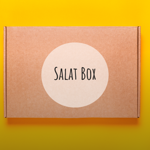 Salat Box